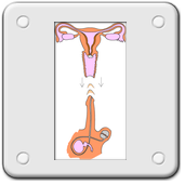MTODO DE INTERRUPCIN